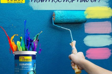 Người mệnh mộc sơn nhà màu gì?