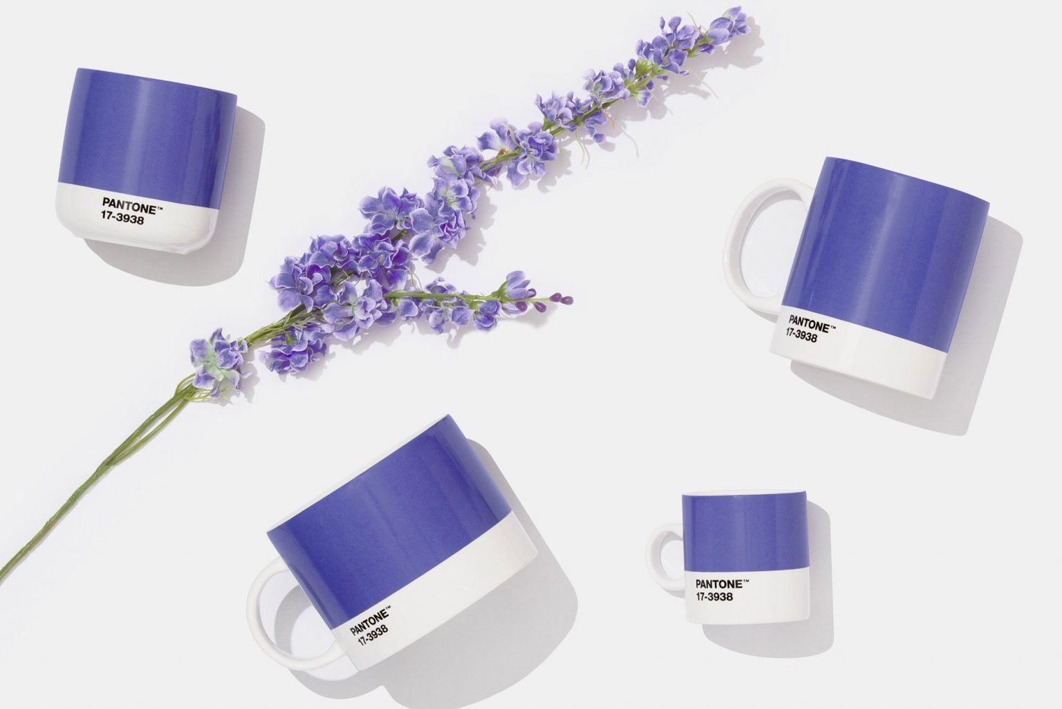 mau-cua-nam-2022-pantone-veri-peri-swatch-1536x1026